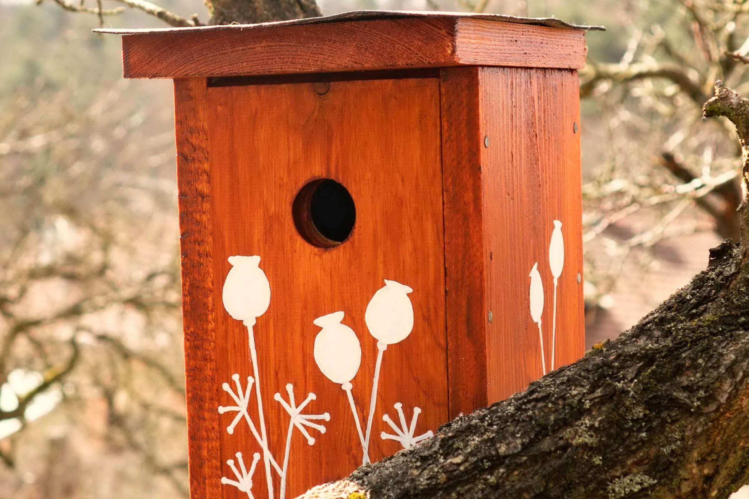 Vyrobte si budku pro ptáčky